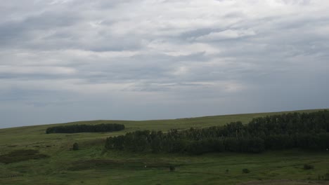 cloudy landscape with hills and forest