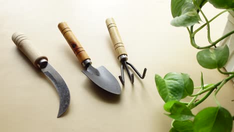 herramientas de jardinería en una mesa