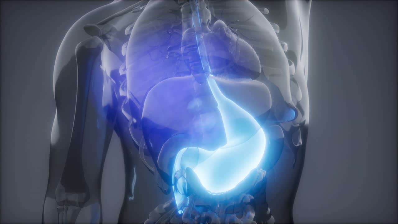 Esame radiologico dello stomaco umano