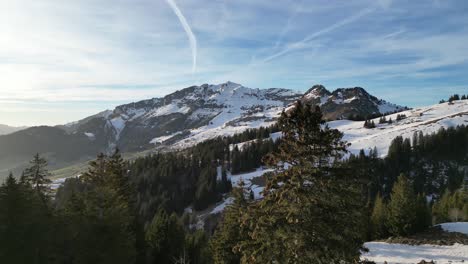 Amden-Weesen-Suiza-Vuelo-A-Través-De-Los-árboles-El-Espectáculo-De-La-Gran-Belleza-De-Los-Alpes-Suizos