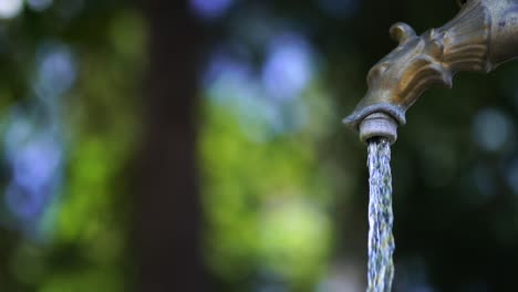 transparent water streaming from the ancient bronzed tap on the background of trees and shadows. water pouring in the nature. macro shot of falling drops and stream from the tap