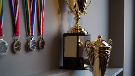 trophies and medals on a shelf