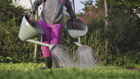 una agricultora orgánica tradicional riega sus cultivos con cubos colgados sobre sus hombros en asia.