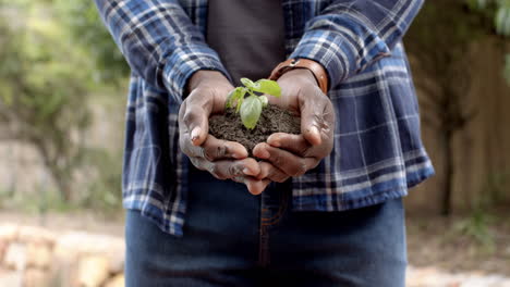 midsection of mature african american man holding soil with seedling plant in garden, slow motion