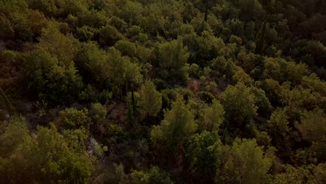 AERIAL:-Mediterranean-landscape-in-Croatia