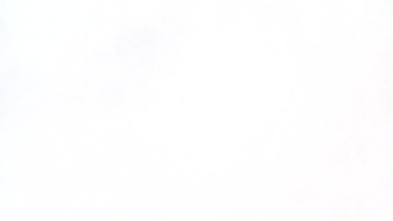 Crushed, plastic bottles for recycling