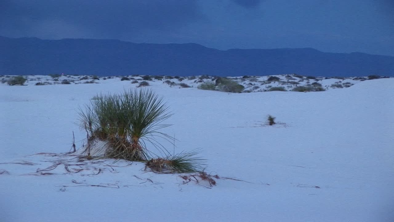 白沙國家紀念碑 (新墨西哥州)
