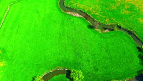 serpentine river meandering through vibrant green meadows from above