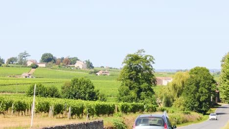 car travels through lush vineyard landscape