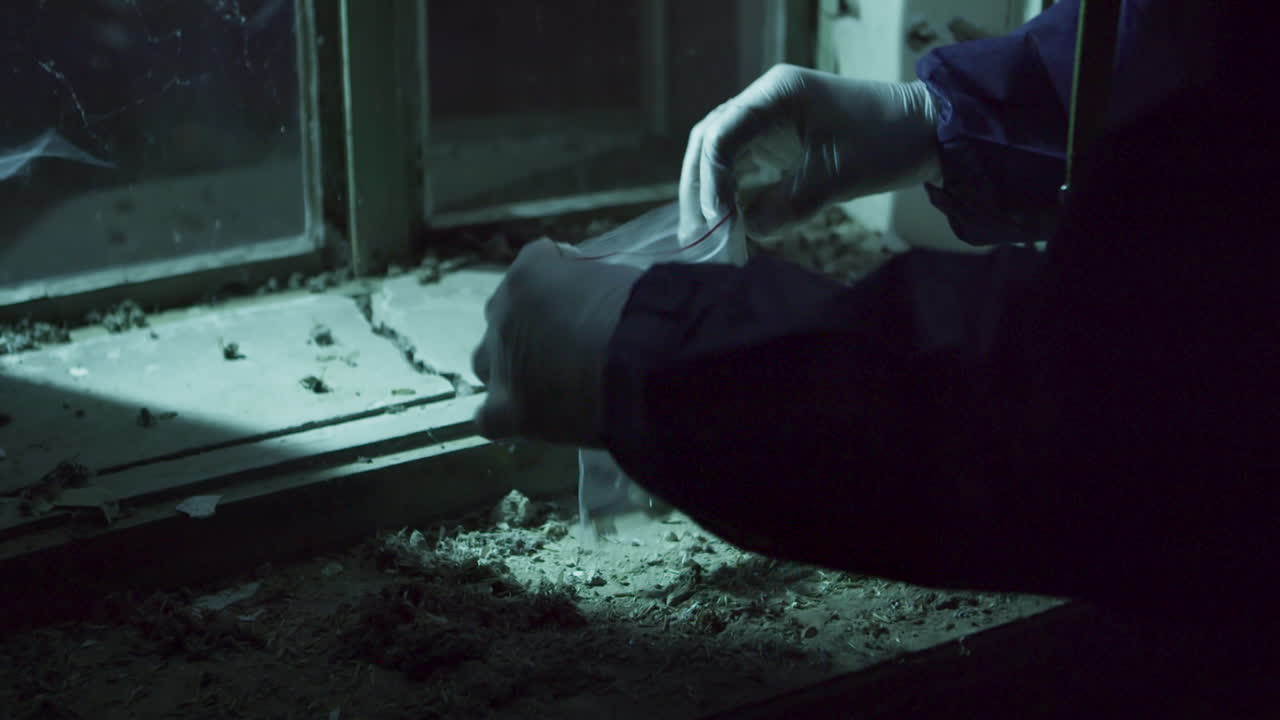 Crime scene investigation, putting evidence into plastic bag, detail view of hands in gloves at night
