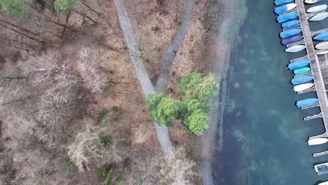 Winter-Shoreline-Trees-in-Weesen,-Switzerland---aerial-top-down-view