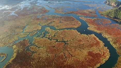 Vista-Aérea-Del-Río-Y-Los-Canales-En-El-Delta-Cubierto-De-Juncos