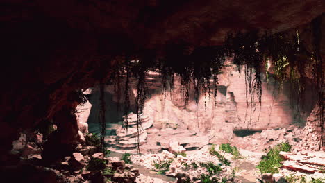 vista desde la cueva a la luz
