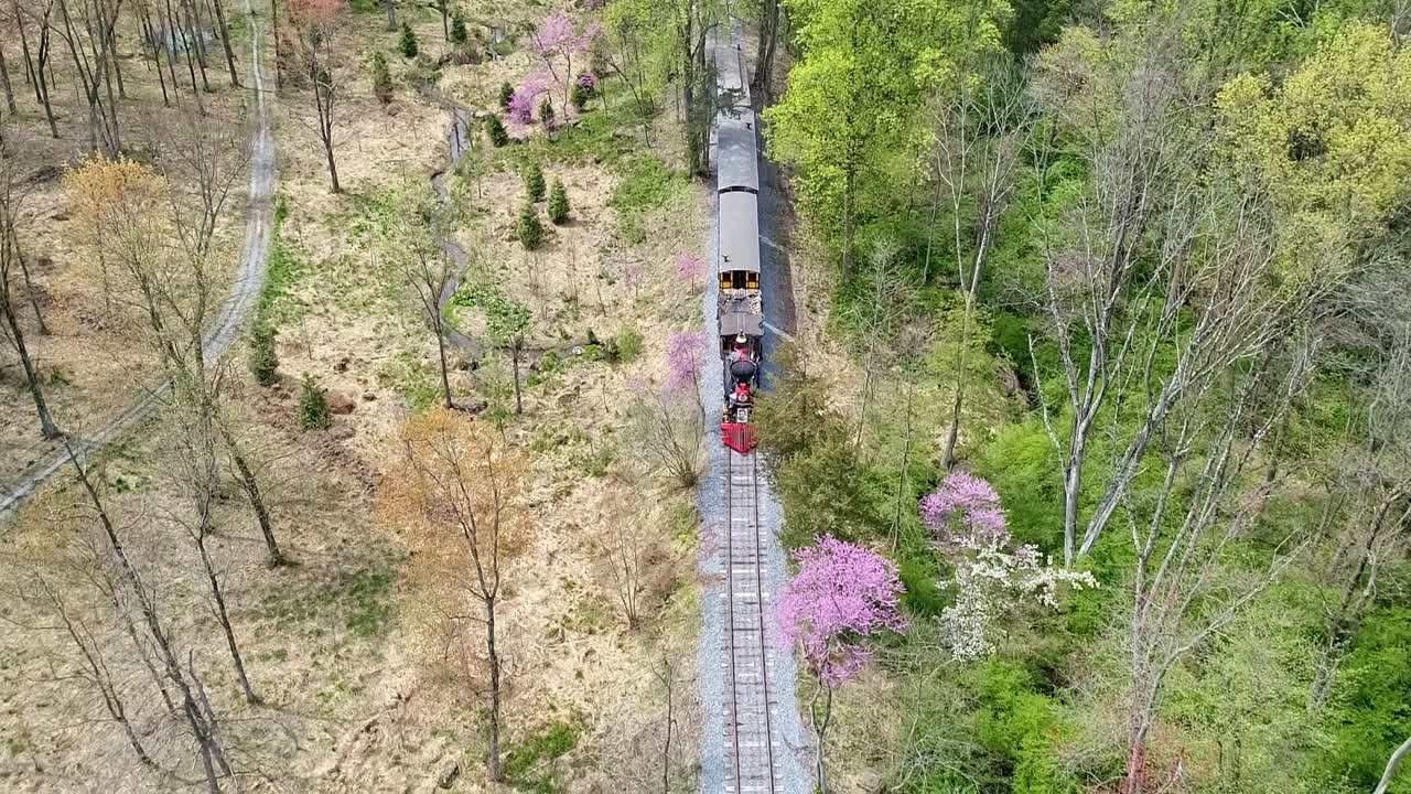una vista aérea de un tren de pasajeros de vapor de 1860 que viaja a través de una zona boscosa en una sola vía solitaria