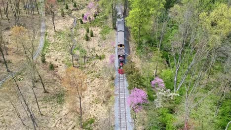 an aerial view of an 1860's steam passenger train traveling thru a wooded area on a lonely single track