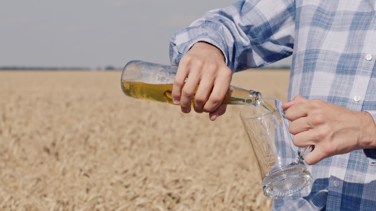 мужчина наливает пиво в кружку на фоне поля спелой пшеницы