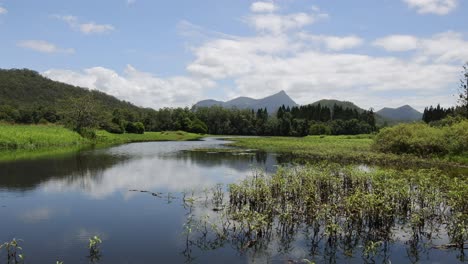 peaceful lake scene with mountains and greenery
