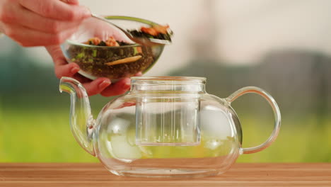 adding loose leaf tea to a glass teapot