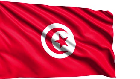 flag of tunisia with fabric structure in the wind (alpha channel, loopable)