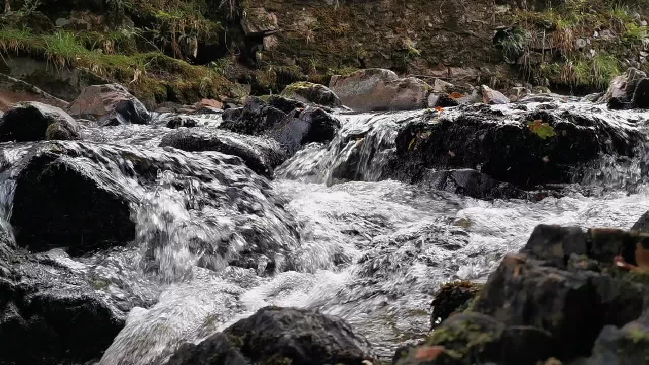 Tranquil close-up shot of water cascading over mossy rocks in a forest stream.