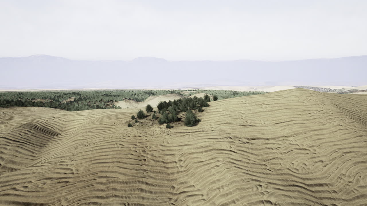 Rolling hills with distinct patterns and sparse vegetation in a vast landscape