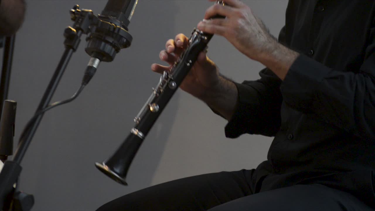 콘서트, 극장 현장, 클라리넷, 평면 근접 촬영에서 클라리넷 연주자