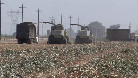 Field-chopper-after-corn-harvest-in-California-USA-1