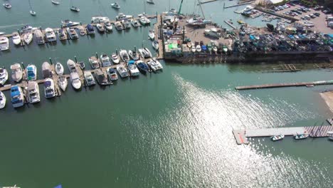 aerial pass over hundreds of small sail boats and yachts at hong kong marina