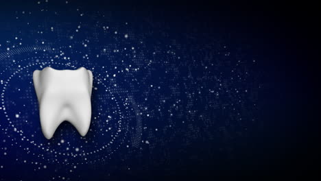 healthy teeth and oral care