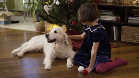 Girl-playing-with-happy-golden-retriever-on-the-background-of-Christmas-tree