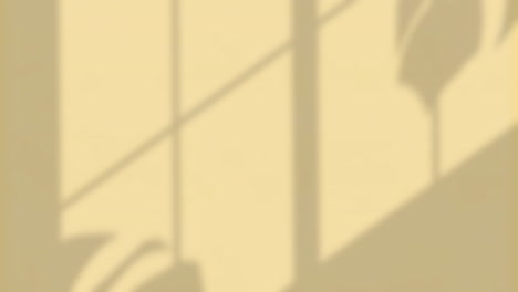 animación de la sombra de las hojas de la ventana sobre un fondo amarillo