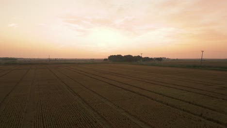 A-revealing-drone-shot-overlooking-a-newly-harvested-rice-field-in-Texas-at-sunrise
