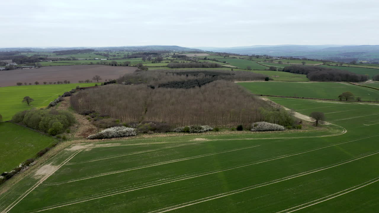снимок с воздуха поля и леса в йоркшире, англия, в пасмурный весенний день
