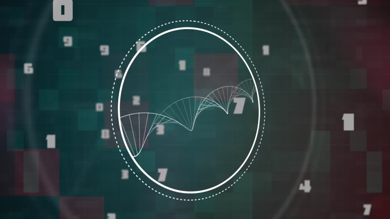 DNA structure on circle against multiple changing numbers