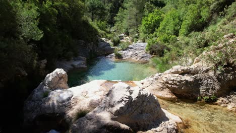 River-with-colorful-green-waters