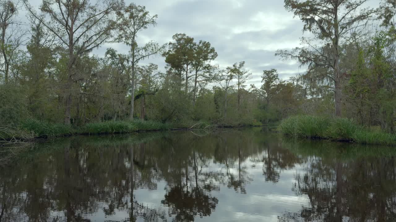 4K cinematic footage of Swamplands outside New Orleans, in Louisiana, USA