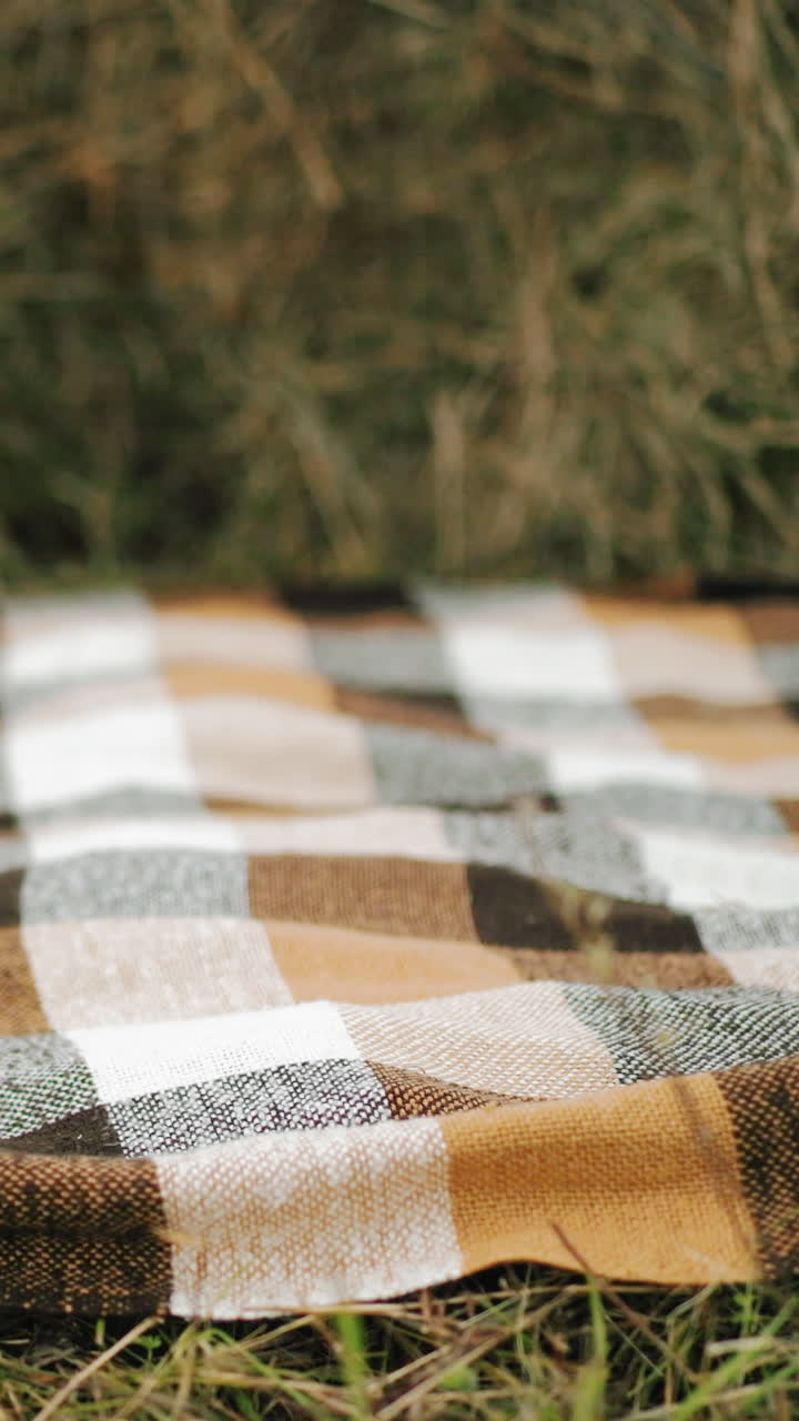primer plano de una manta a cuadros extendida en un terreno cubierto de hierba con vista borrosa de una persona y un perro en el fondo, tonos cálidos y textura suave crean un entorno al aire libre acogedor y acogedor en tierras de cultivo rurales