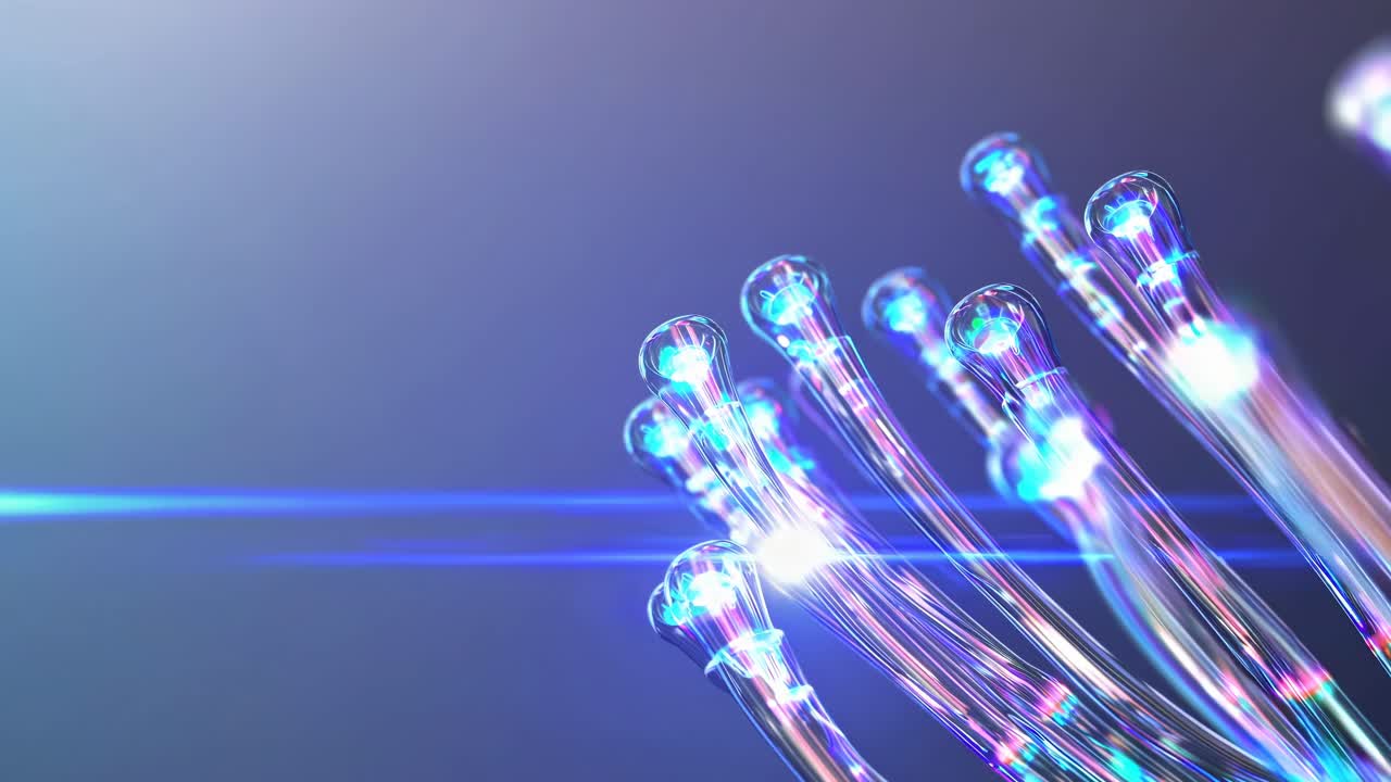 추상적인 반이는 생물학적 네트워크