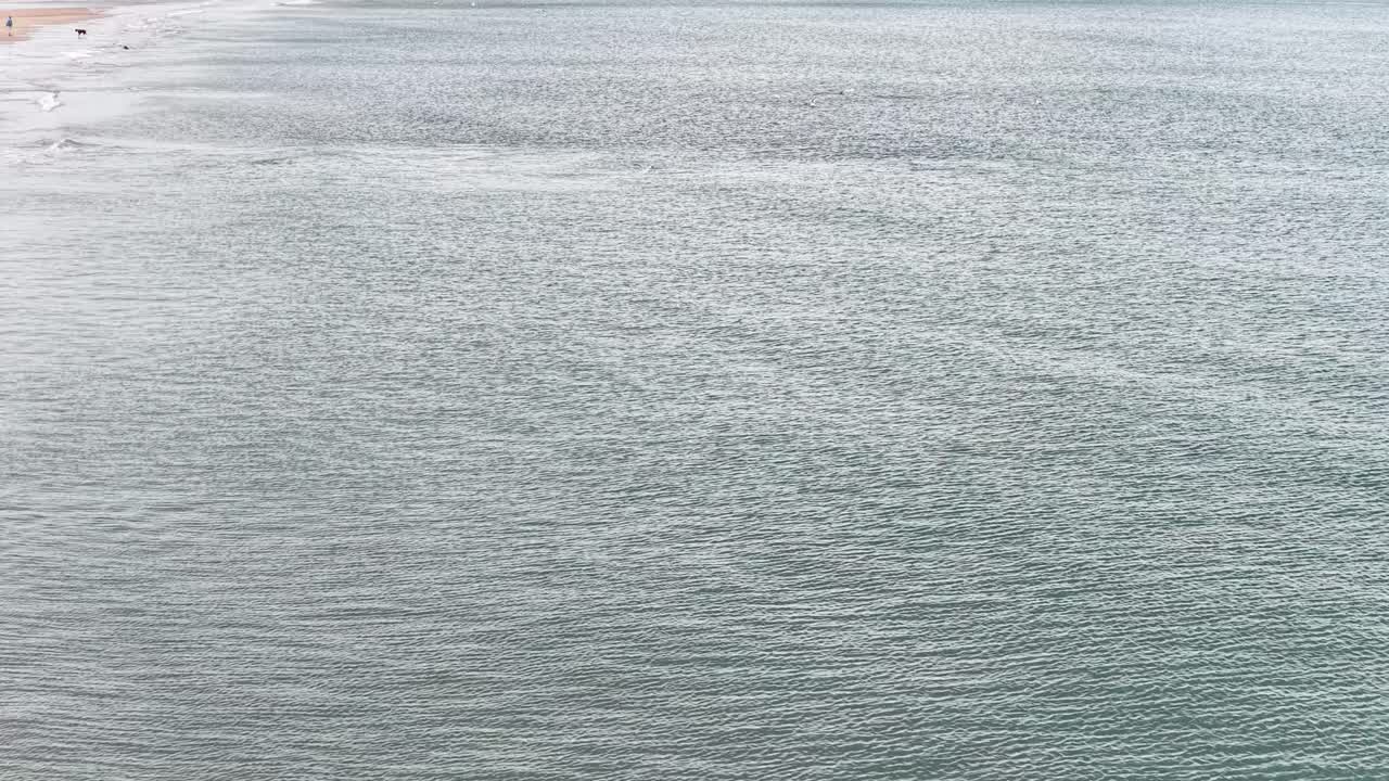Drone glides above tranquil shoreline, gentle waves, seagulls, and reflective water on a bright day