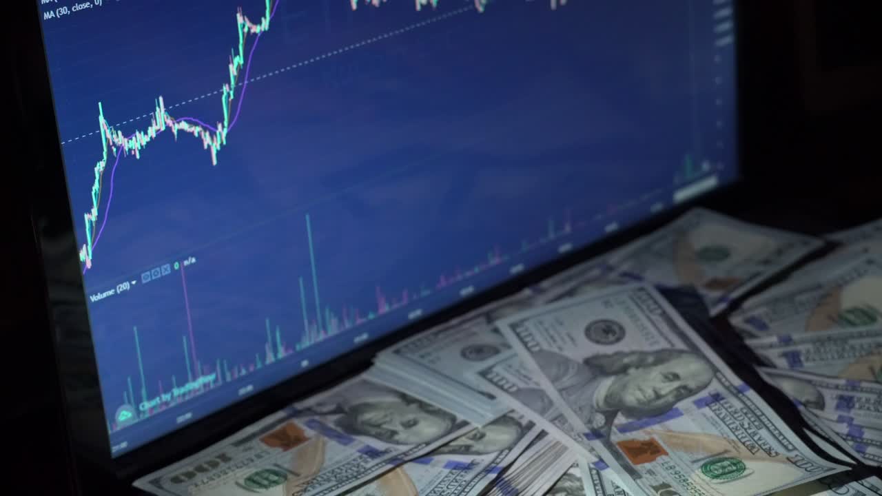 la chica considera las ganancias en dolores por criptomoneda