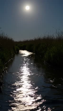 moonlight reflections on a creek
