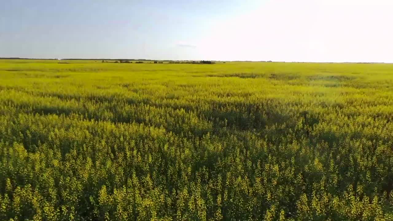 Saskatchewan, a state in Canada
