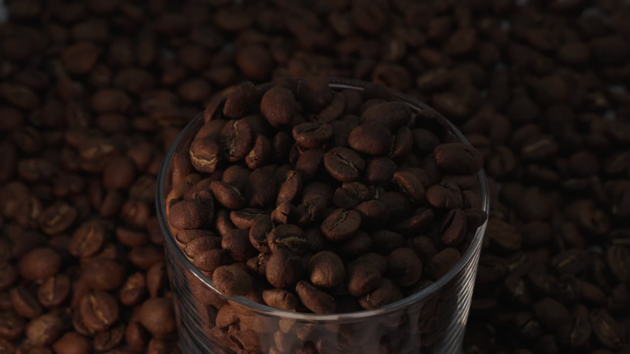 Riprese di chicchi di caffè in una tazza trasparente. Luce che illumina dall'alto verso il basso.