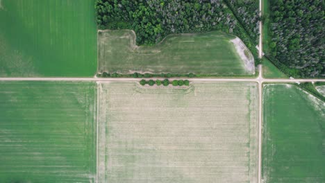 drone vertical de izquierda a derecha sobre hermosas tierras de cultivo