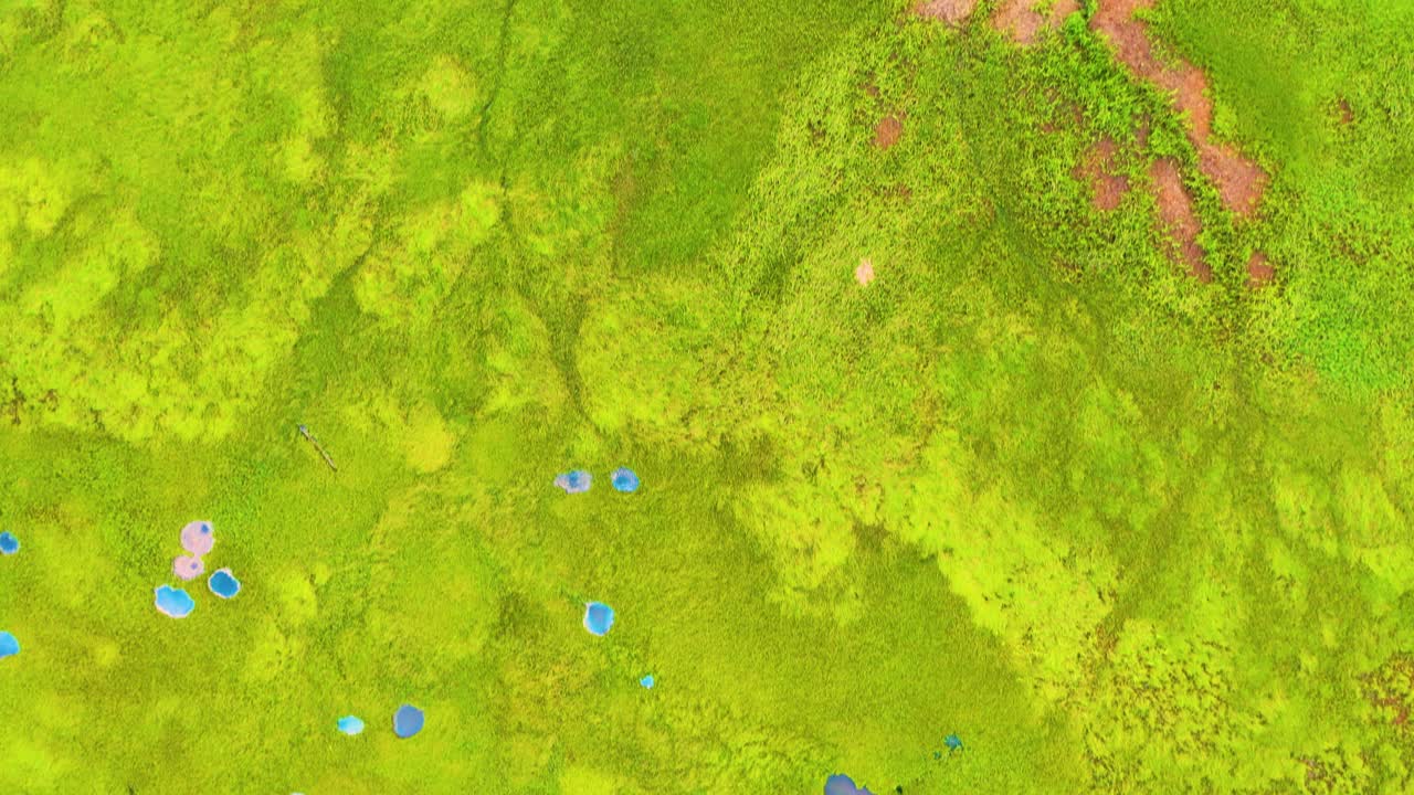 Top-down aerial angle captures the wetlands’ tidal networks, with green grasses, mudflats, and sandy patches creating intricate patterns only visible from above