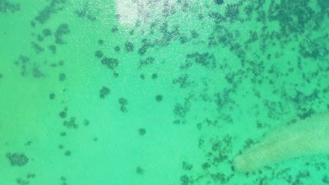 Beautiful-turquoise-sea-texture-with-calm-lagoon,-coral-reefs-and-white-sand-of-exotic-beach-seen-through-transparent-water,-Barbados