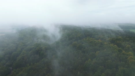 vista aérea de un paisaje montañoso de bosques envueltos en niebla