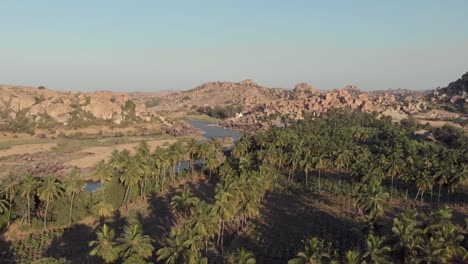 Fliegen-Sie-über-Palmen-Mit-Fluss-Und-Hügeln-Im-Hintergrund