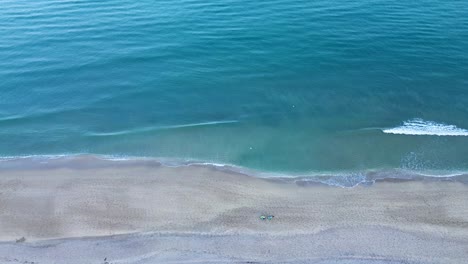 Fly-in-Am-Strand-Von-South-Florida,-Horizont