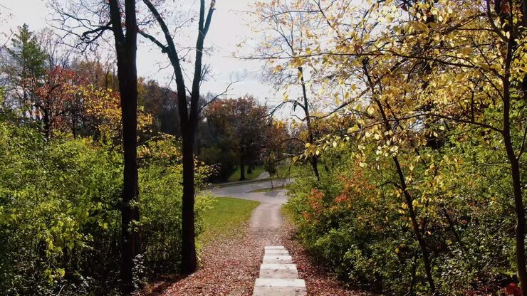 Il sentiero d'autunno nel parco